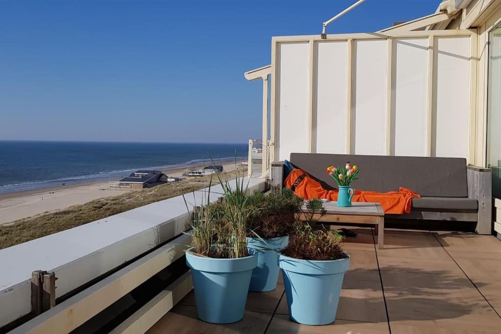 Apartament Kraaiennest Egmond aan Zee Zewnętrze zdjęcie