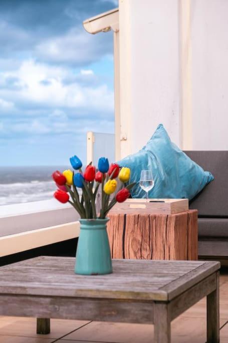 Apartament Kraaiennest Egmond aan Zee Zewnętrze zdjęcie