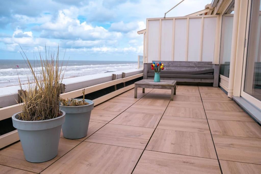 Apartament Kraaiennest Egmond aan Zee Zewnętrze zdjęcie