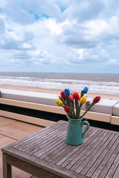 Apartament Kraaiennest Egmond aan Zee Zewnętrze zdjęcie