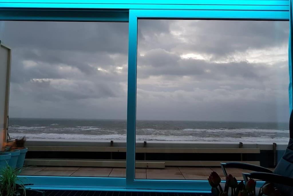 Apartament Kraaiennest Egmond aan Zee Zewnętrze zdjęcie