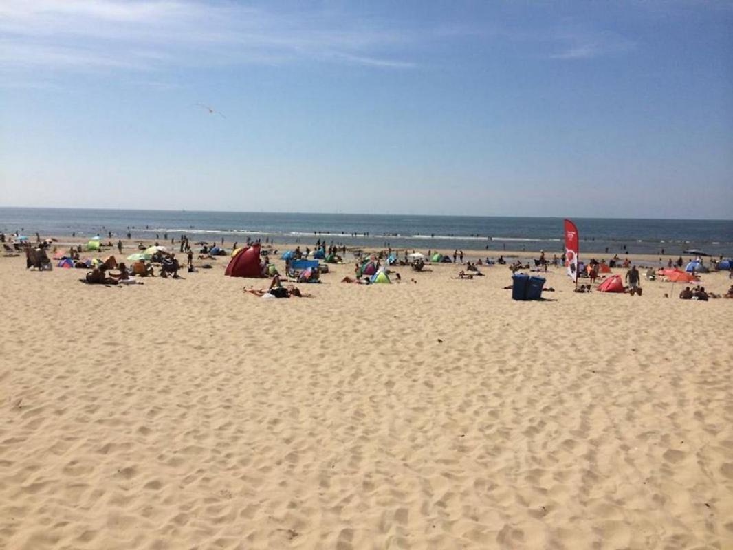 Apartament Kraaiennest Egmond aan Zee Zewnętrze zdjęcie